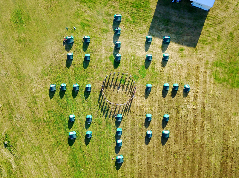 mandala-geo Geometría Sagrada del Doctor Music Festival 2019