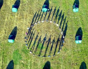 Geometría Sagrada del Doctor Music Festival 2019